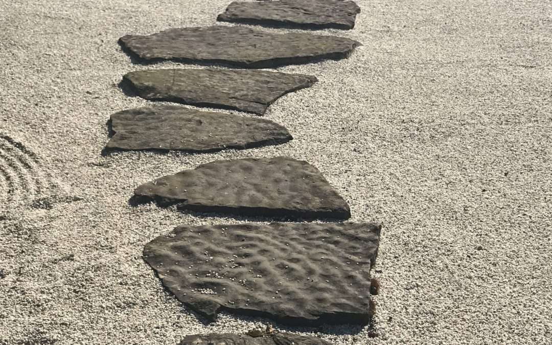 Finding the Right Animal Communicator Near You: A Complete Guide