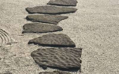 Finding the Right Animal Communicator Near You: A Complete Guide